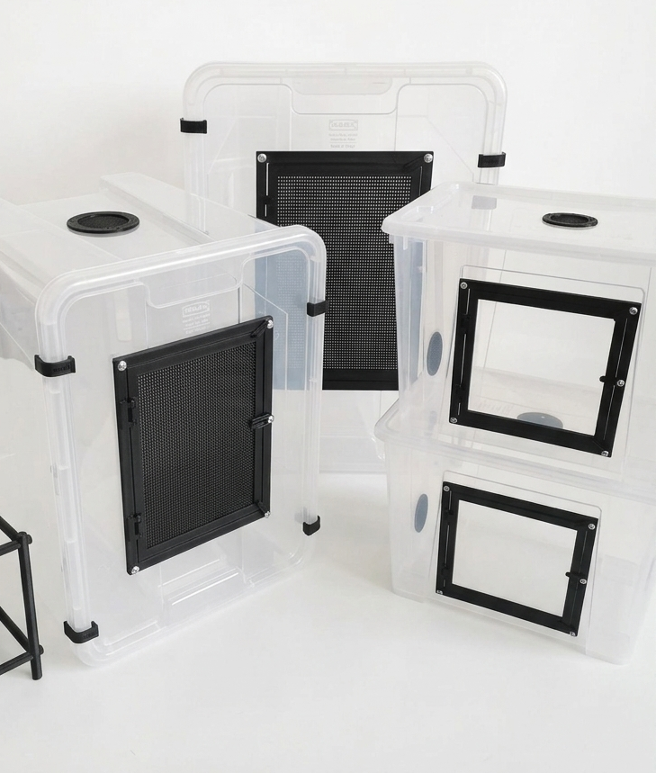 Box custom: L'Evoluzione dell'Allevamento