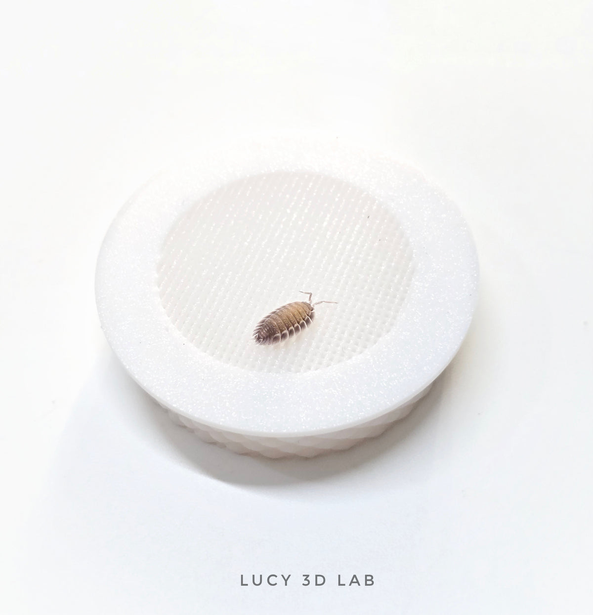 Screw-in Air Vent, 50 mm Hole, with 1 × 1.5 mm Extra-Fine Mesh and External Cover - Lucy 3D Lab