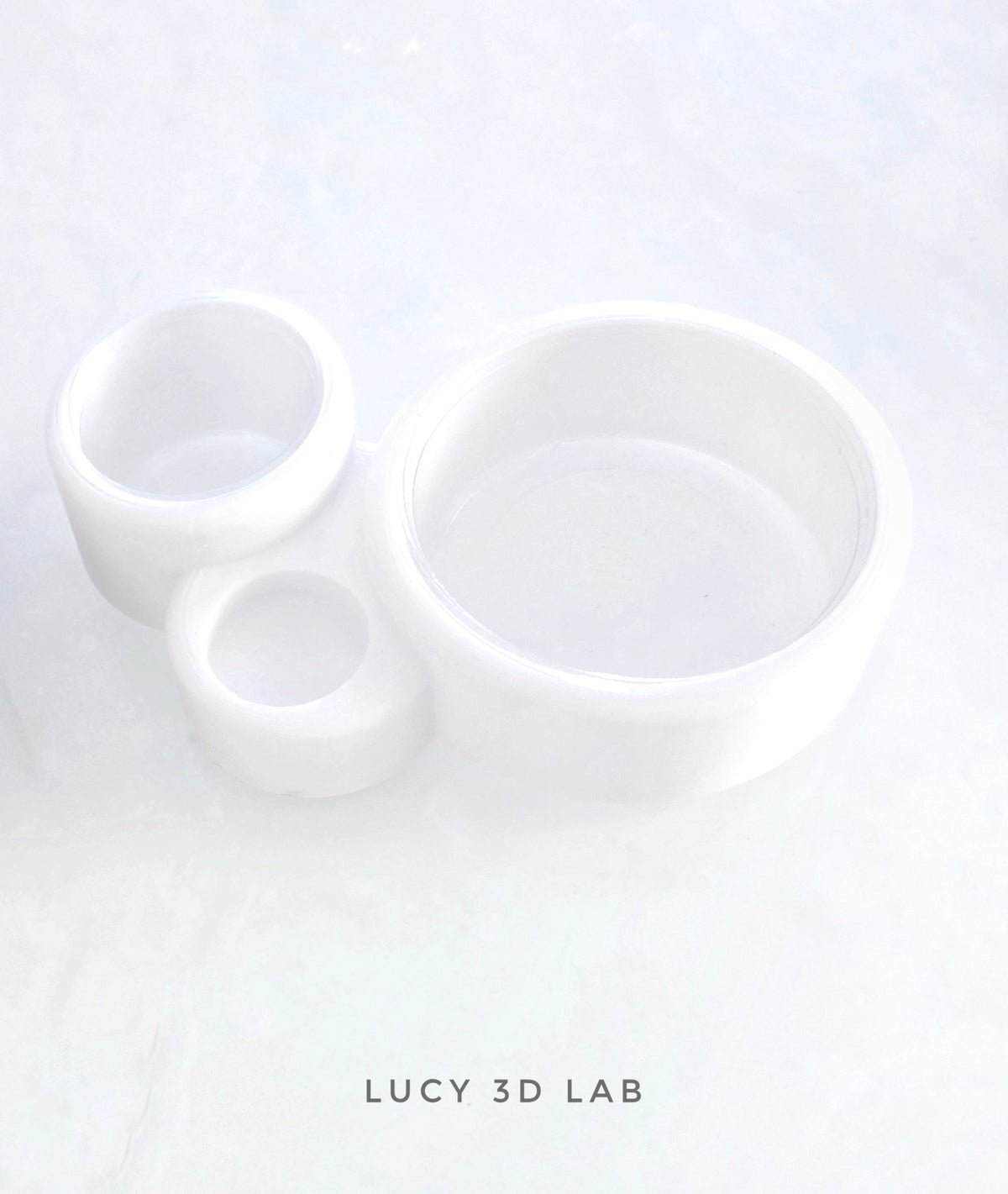 3-in-1 Gecko Feeder for Leopard Geckos with 2 bowls and Calcium Compartment – Lucy 3D Lab