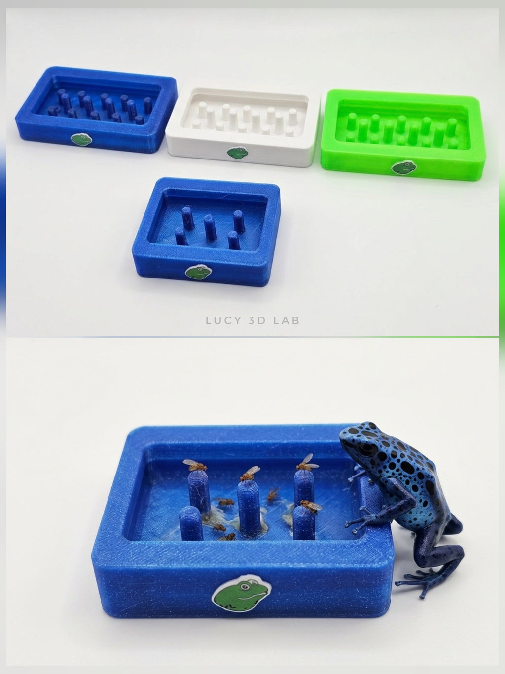Frog Feeder Station 6 × 7 cm for Feeding Frogs and Other Insectivorous Reptiles – Lucy 3D Lab
