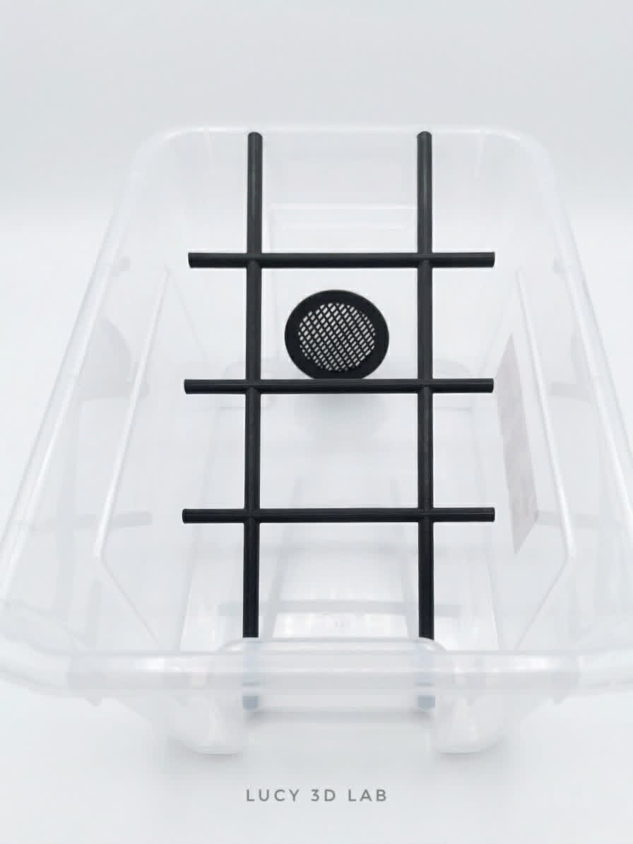 Arboreal snake ladder, reptiles terrarium example