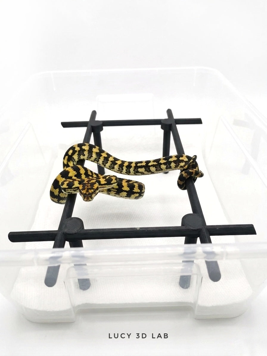 Rectangular Support Layout 2 22 × 28 × 7h cm or 22 × 28 × 14h cm – Lucy 3D Lab