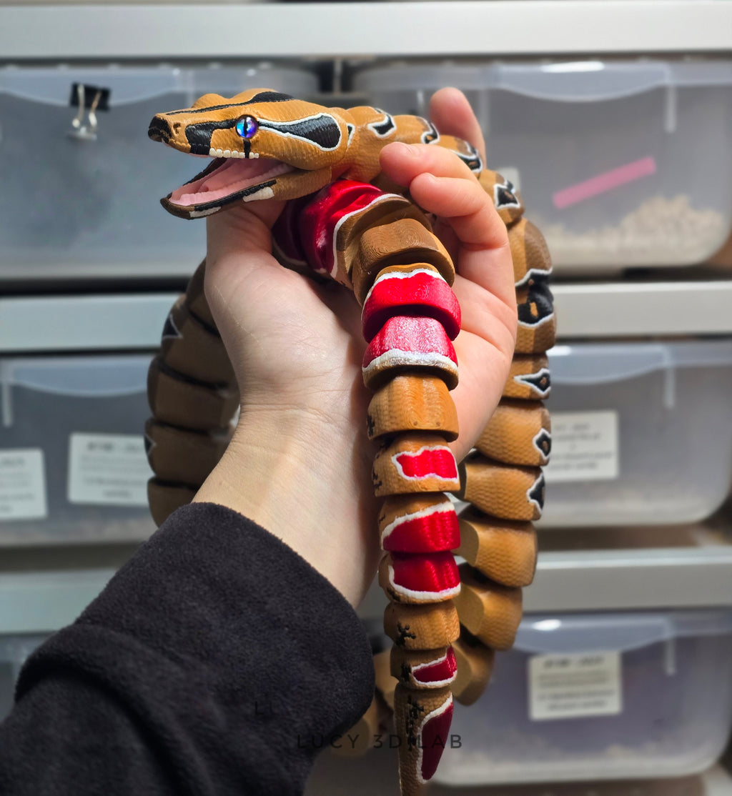 3D Articulated Boa Constrictor (Boa constrictor) – Lucy 3D Lab